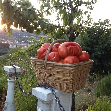 오바다 Il Borgo Delle Grazie 빌라 외부 사진