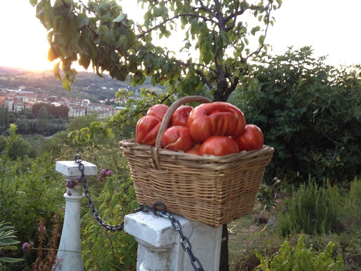 오바다 Il Borgo Delle Grazie 빌라 외부 사진